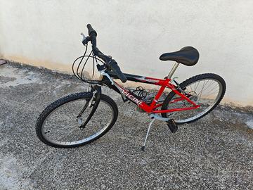 Vicini Mountain-Bike 24"