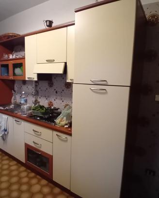 Cucina lineare con elettrodomestici 