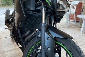 Kawasaki Z300 ABS