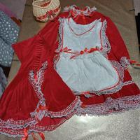 vestito  di carnevale 