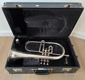 flicorno soprano king 650