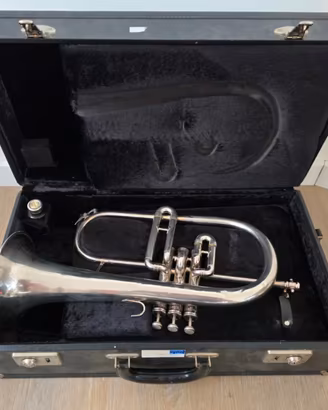 flicorno soprano king 650