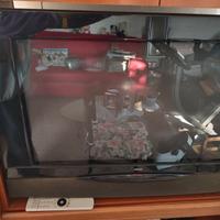 TV Loewe