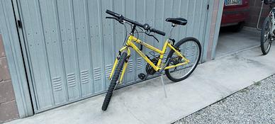 bicicletta dai 10 ai 13 anni