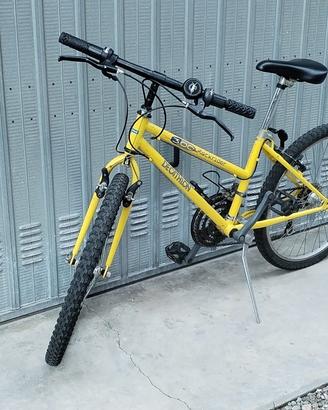bicicletta dai 10 ai 13 anni