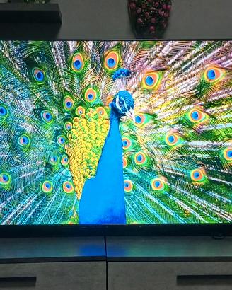 tv TCL