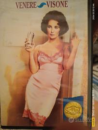 vhs venere in visone