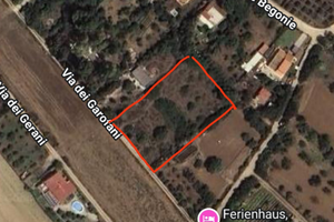 Terreno agricolo recintato