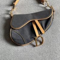 Dior saddle