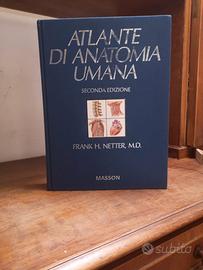 Atlante di Anatomia Umana Netter – 2ª Edizione – M