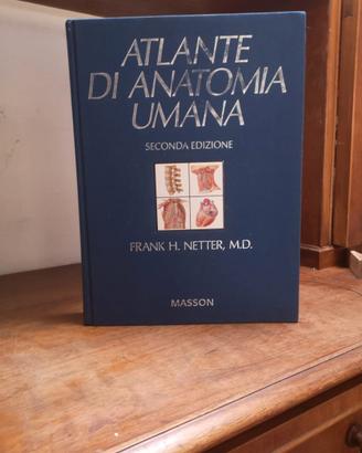 Atlante di Anatomia Umana Netter – 2ª Edizione – M
