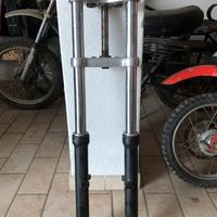 Forcella sportster