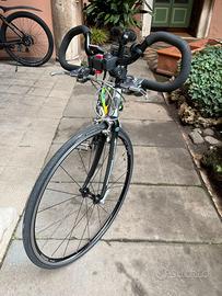 Bicicletta Bianchi Camaleonte IV