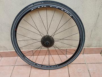 ruota bici 