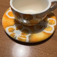 Tazza cappuccino Thun safari