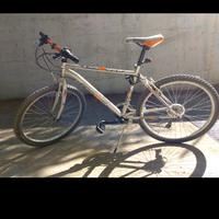 Mountain bike Bolt 260 