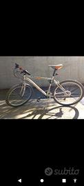 Mountain bike Bolt 260 