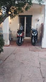 X Max 250