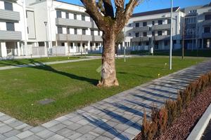 3 LOCALI A SACCOLONGO