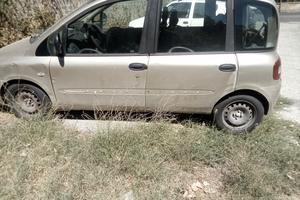 multipla