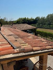 Coppi per tetto con ganci e barriera ferma passero