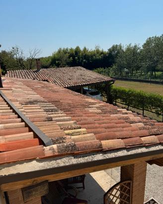 Coppi per tetto con ganci e barriera ferma passero