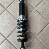 Amortizzatore Beta Alp 200/400