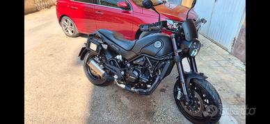 benelli leoncino 500