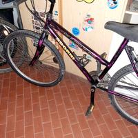bicicletta da donna 