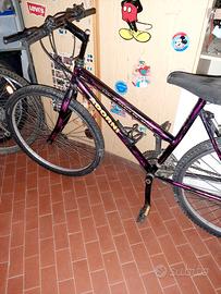 bicicletta da donna 