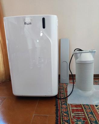 Pinguino DeLonghi condizionatorie
