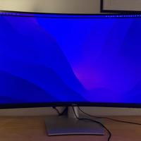 Monitor Dell S3221QS 32 Pollici Curvo