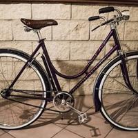 Bicicletta vintage