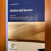 Diritto del Lavoro