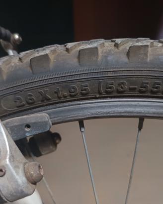 bicicletta