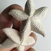 orecchini argento con stelle bianche 