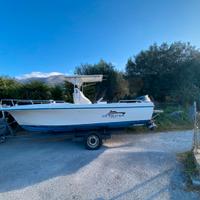 Manò 22 ali di gabbiano