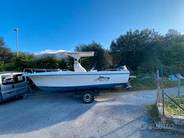 Manò 22 ali di gabbiano