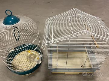 Gabbia uccelli voliera canarini