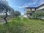 Immagine 13