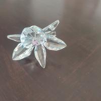 Orchidea Swarovski