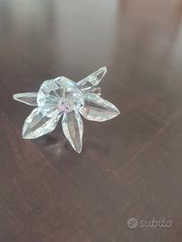 Orchidea Swarovski