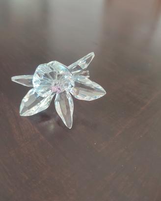 Orchidea Swarovski