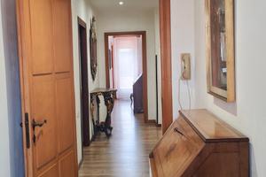 Stanze per studentesse