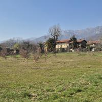 Rustico/Casale/Corte Cantalupa
