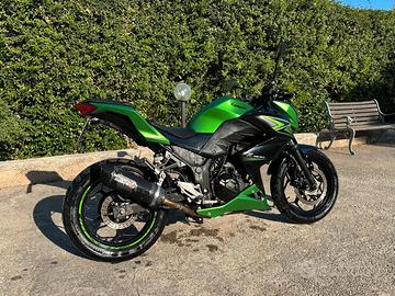 Kawasaki Z 300