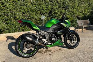 Kawasaki Z 300