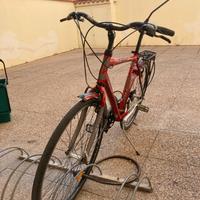 Atala discovery 28”