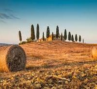 Nave di Fontanafredda euro 150.000,00