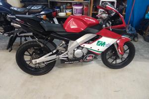 gilera sc 125 2t replica simoncelli no aprilia rs